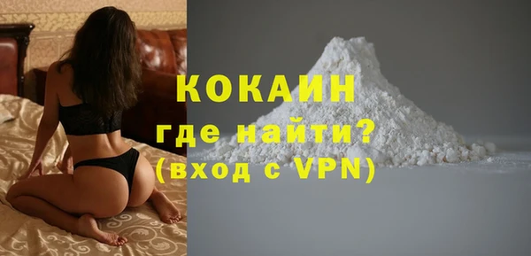 СК Ельня