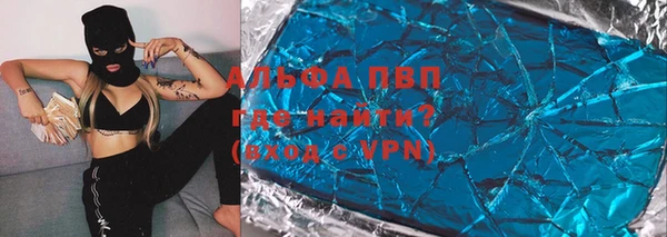 СК Ельня