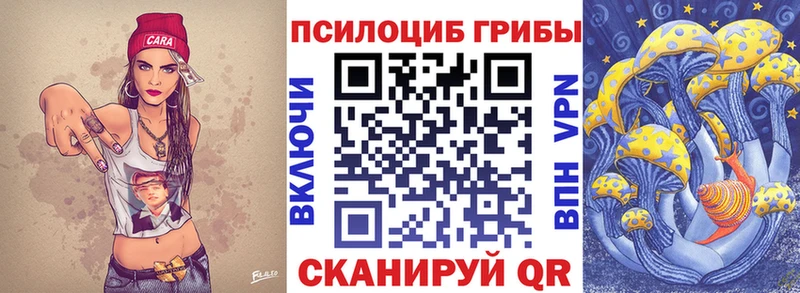 Галлюциногенные грибы Psilocybine cubensis  как найти наркотики  Зеленогорск 